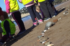 Photo 23-06-15 1 50 44 pm