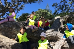 Photo 29-09-15, 1 13 29 PM